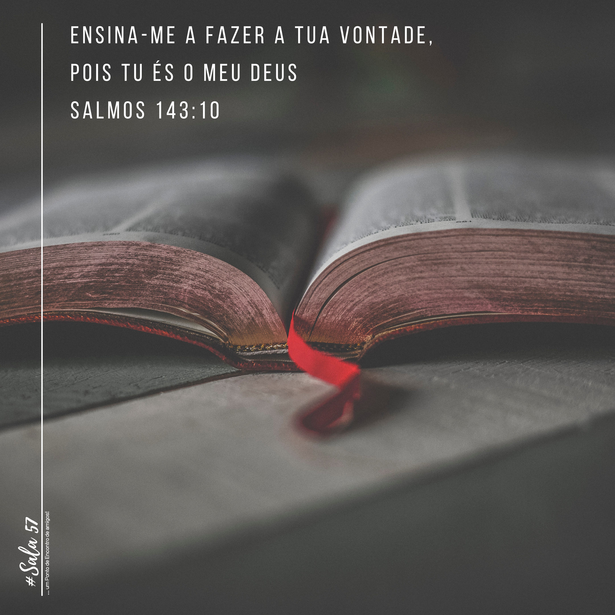 Leia mais sobre o artigo T1 | E1 : ENSINO