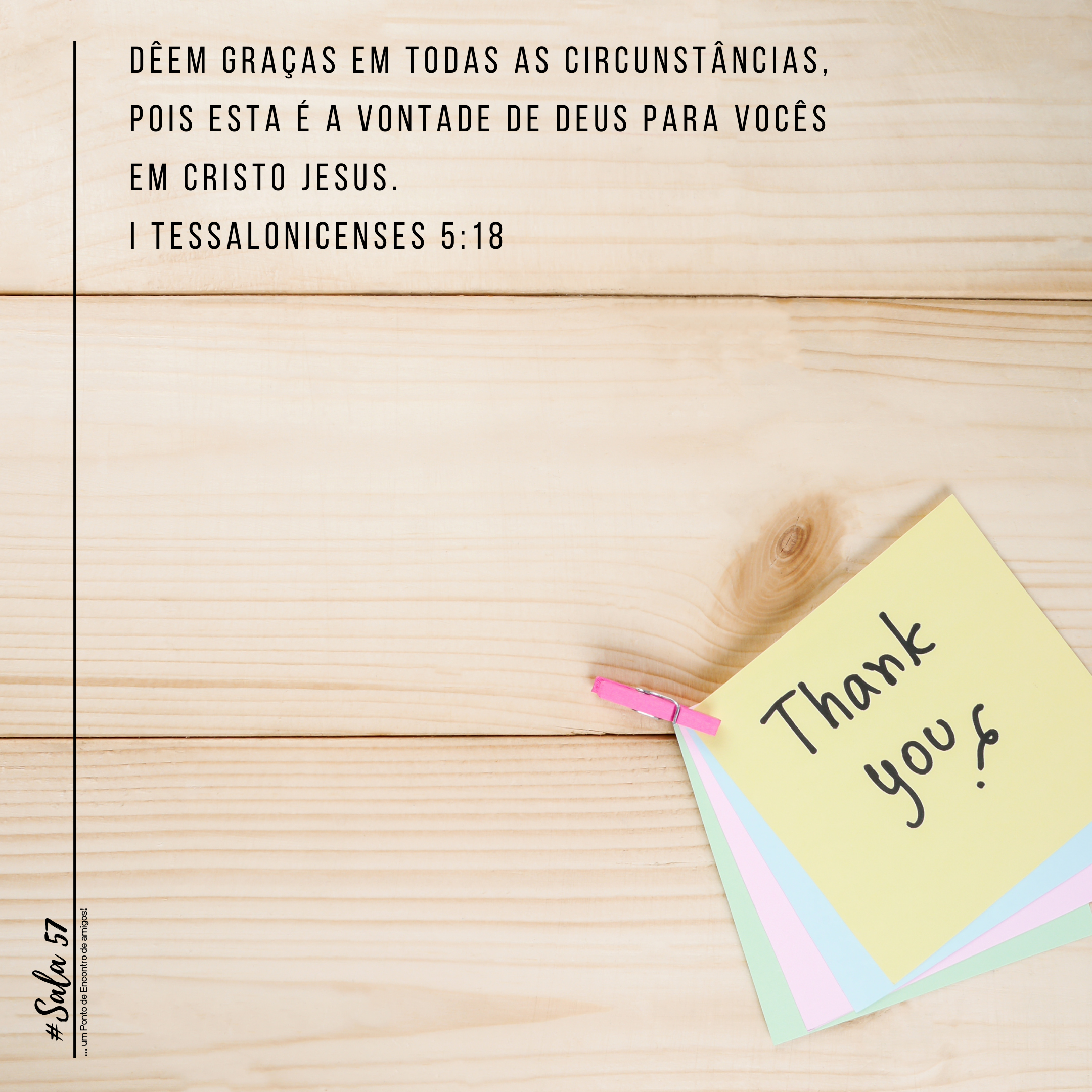 Leia mais sobre o artigo T1 | E16 : Gratidão
