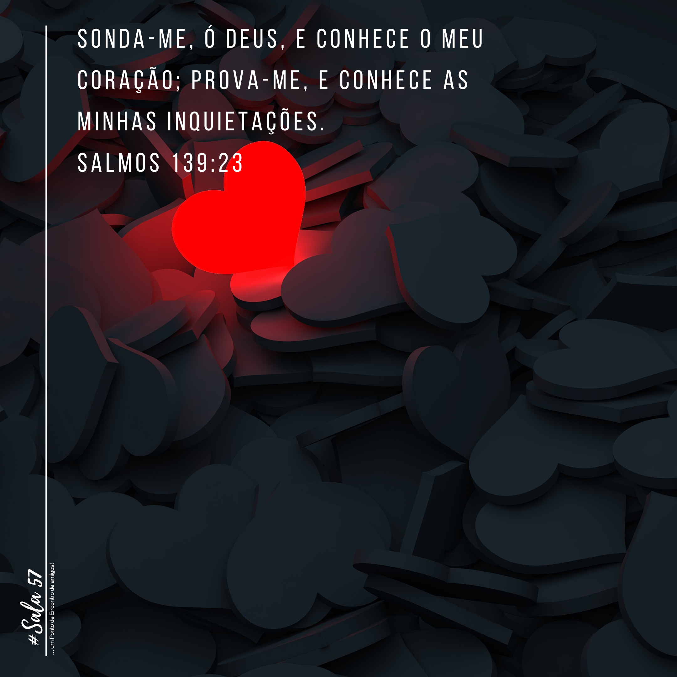 Leia mais sobre o artigo T1 | E4 : INQUIETAÇÕES